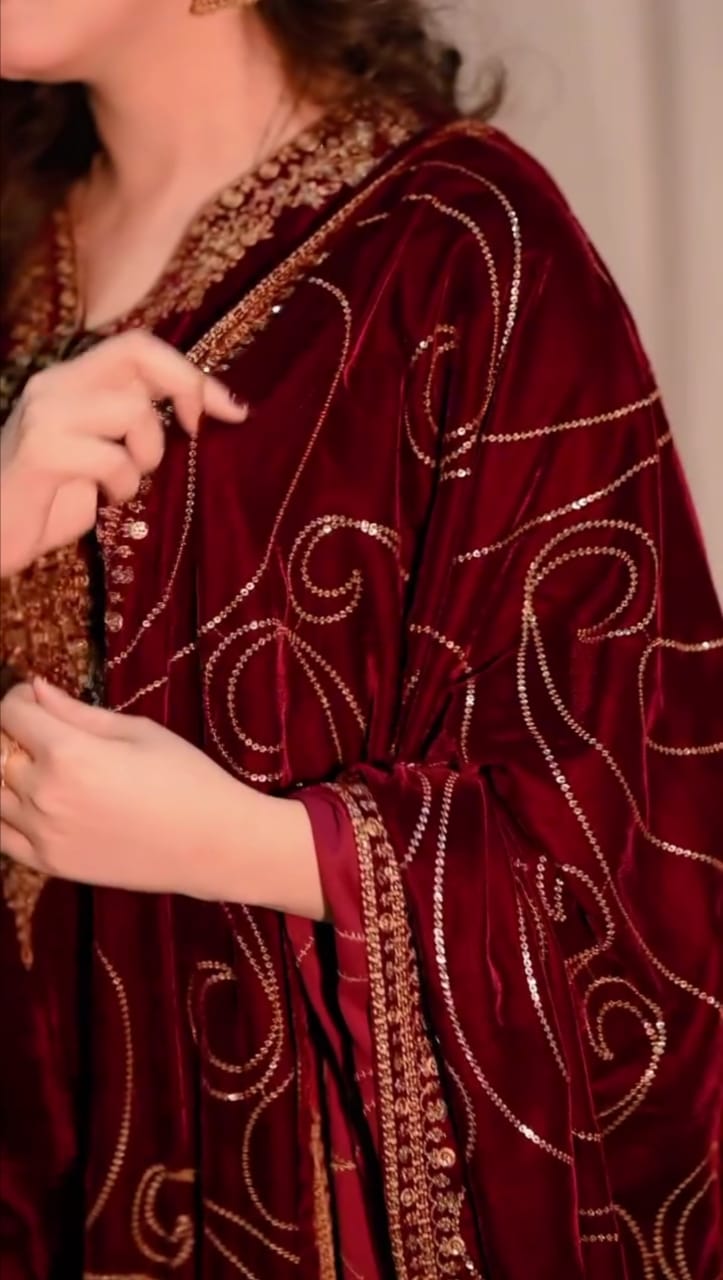 Luxury  Velvet Threadwork 3PC Ensemble