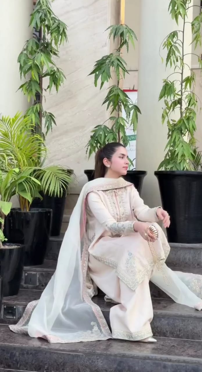 Elegant Party Wear 3-Pc Collection